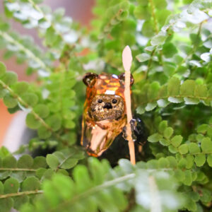 Ein EWOK als Symbol für unseren Coaching Ansatz. Gemeinschaft und Zusammenarbeit als Wert