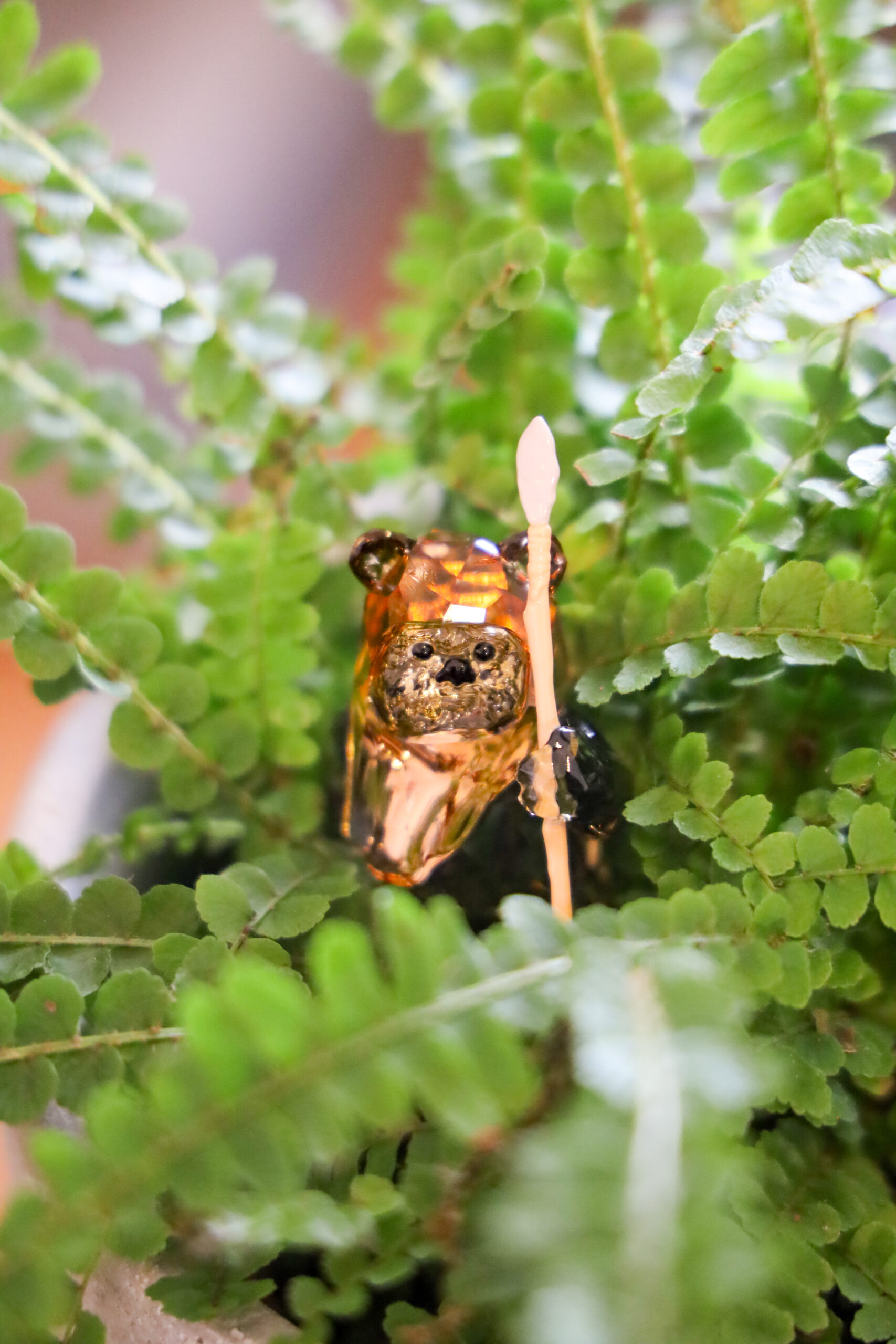 Ein EWOK als Symbol für unseren Coaching Ansatz. Gemeinschaft und Zusammenarbeit als Wert